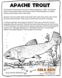 Apache Trout Arizona Coloring Page