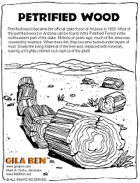 Petrified Wood coloring page thumbnail