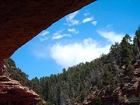 Grand
                              Canyon below the rim