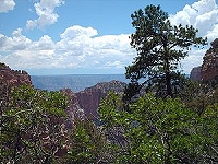 Grand
                              Canyon